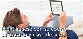 Identif�quese con su c�digo de usuario y clave de acceso