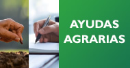 Ayudas de la Unión Europea Ayudas de la Unión Europea